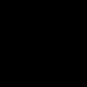 Meet your Posher, Bradley